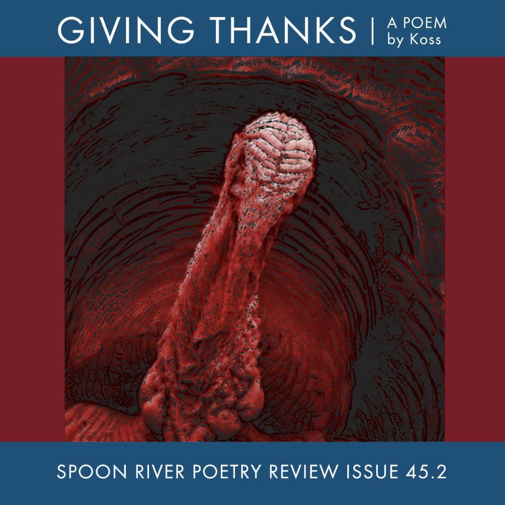 Turkey image for poetry publication promo for Koss in Spoon River Review