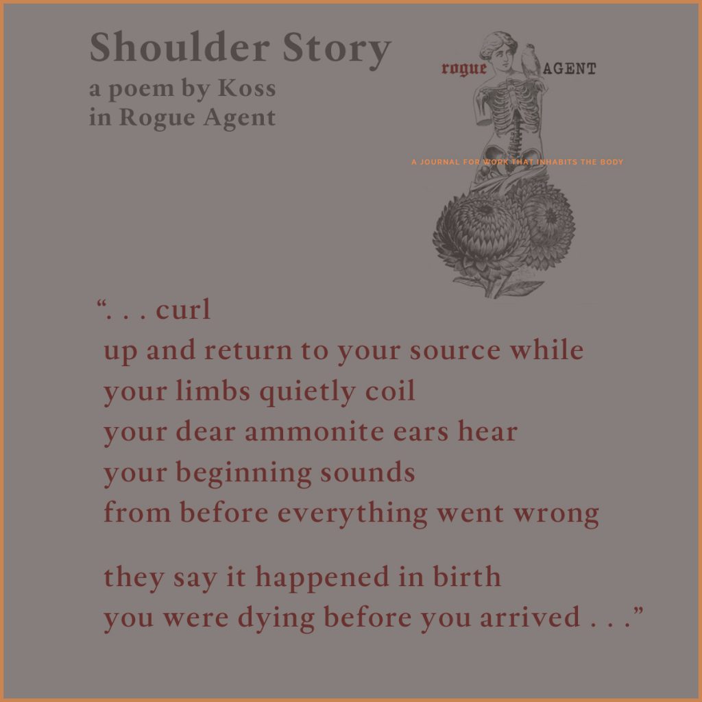 poetry publication promo for Shoulder Story in Rogue Agent