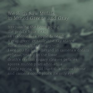 poem about suicide on muted green background with leaves in a frozen pond