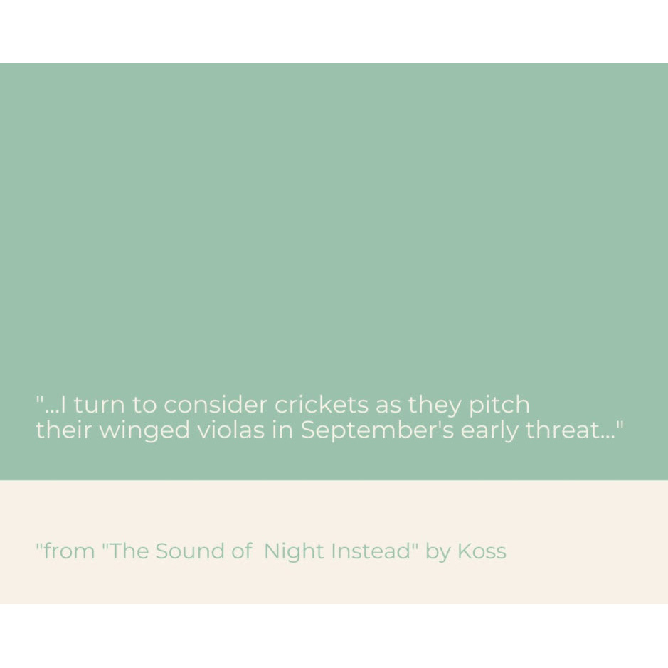 graphic with quote from poem, "The Sounds of the Night, Instead," for Boats Against the Current Magazine