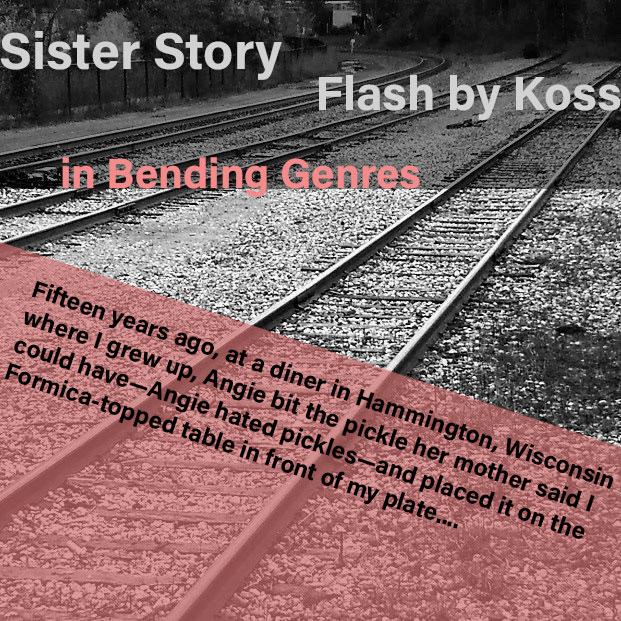 railroad tracks with pink text and excerpt from story