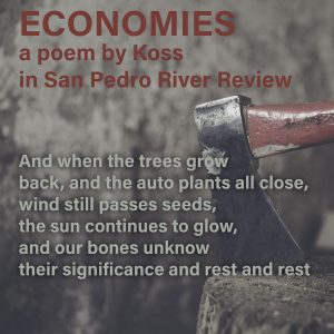 axe in stump with text and excerpt from a koss poem, Economies, in San Pedro River Review