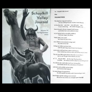 indigenous chief on horse statue alongside a poem by koss called "Telemother"