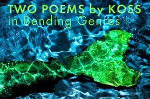 mermaid tail green on blue water with poetry promo text