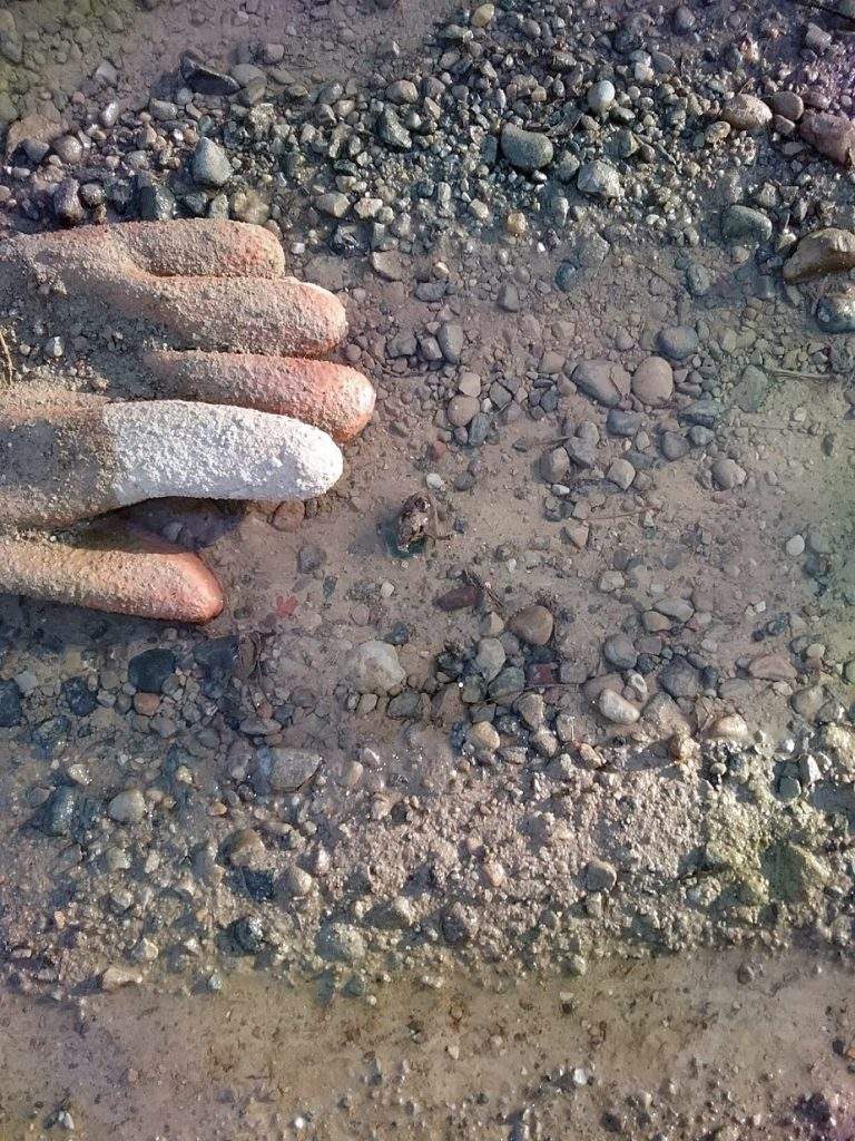 rubber glove on gravel