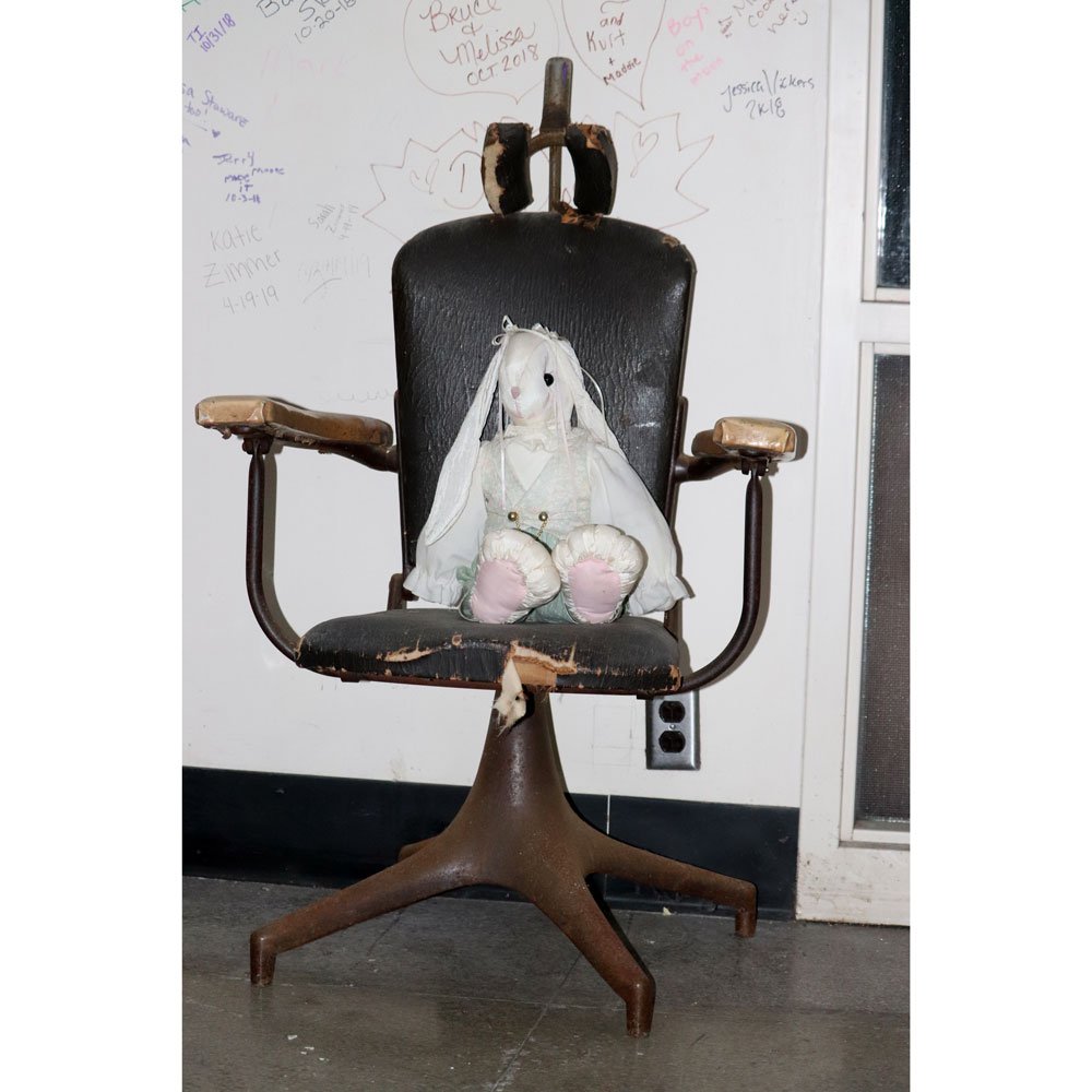 Rabbit, Chair, Eloise Asylum