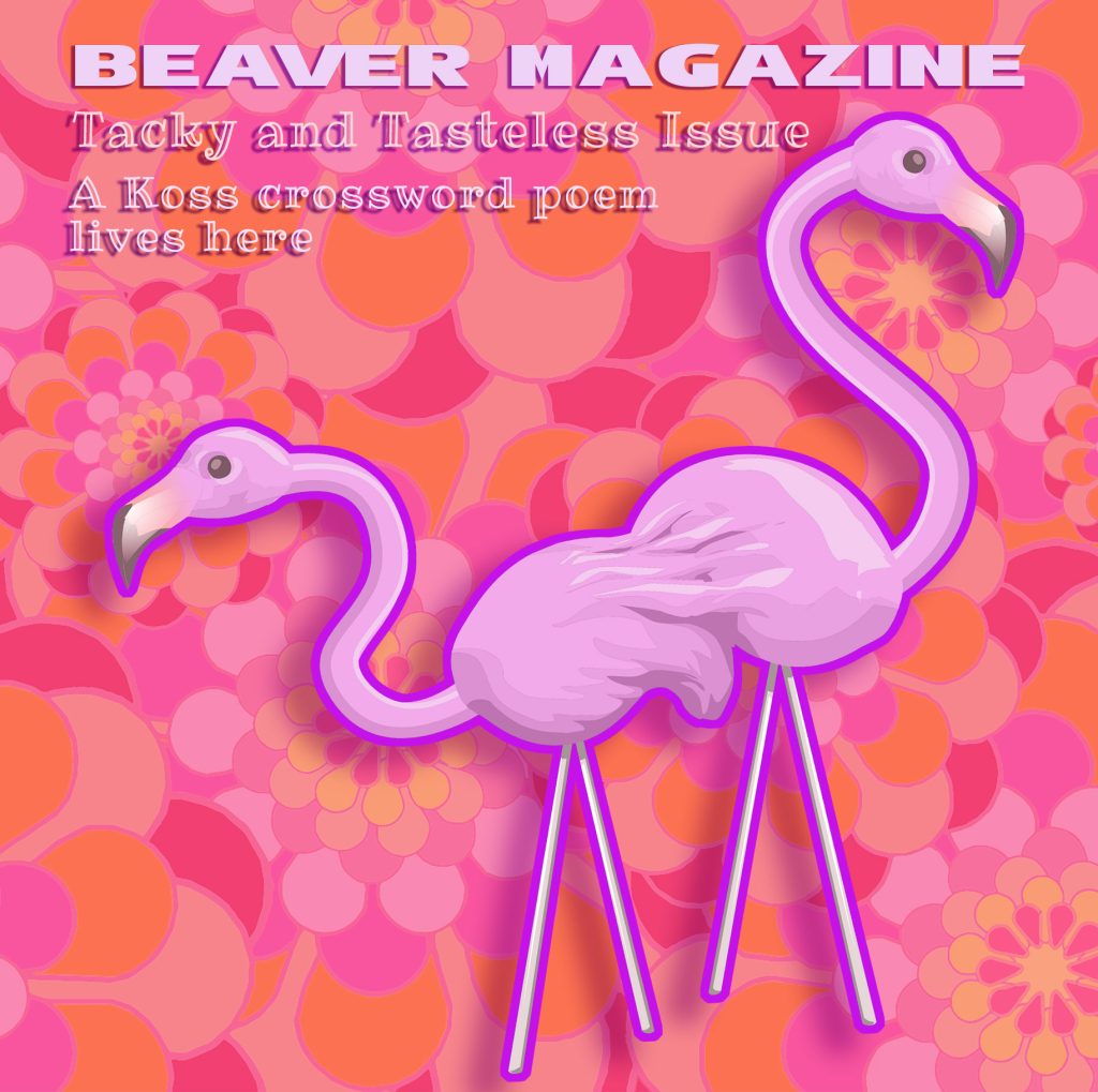 pink flamingos with beaver mag text and orange and pink psychadelic background
