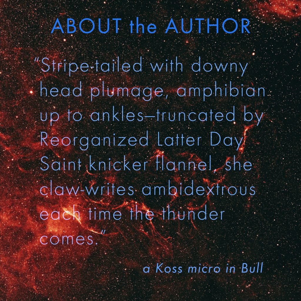 fiery red sky background with excerpt from a micro by Koss in Bull Magazine