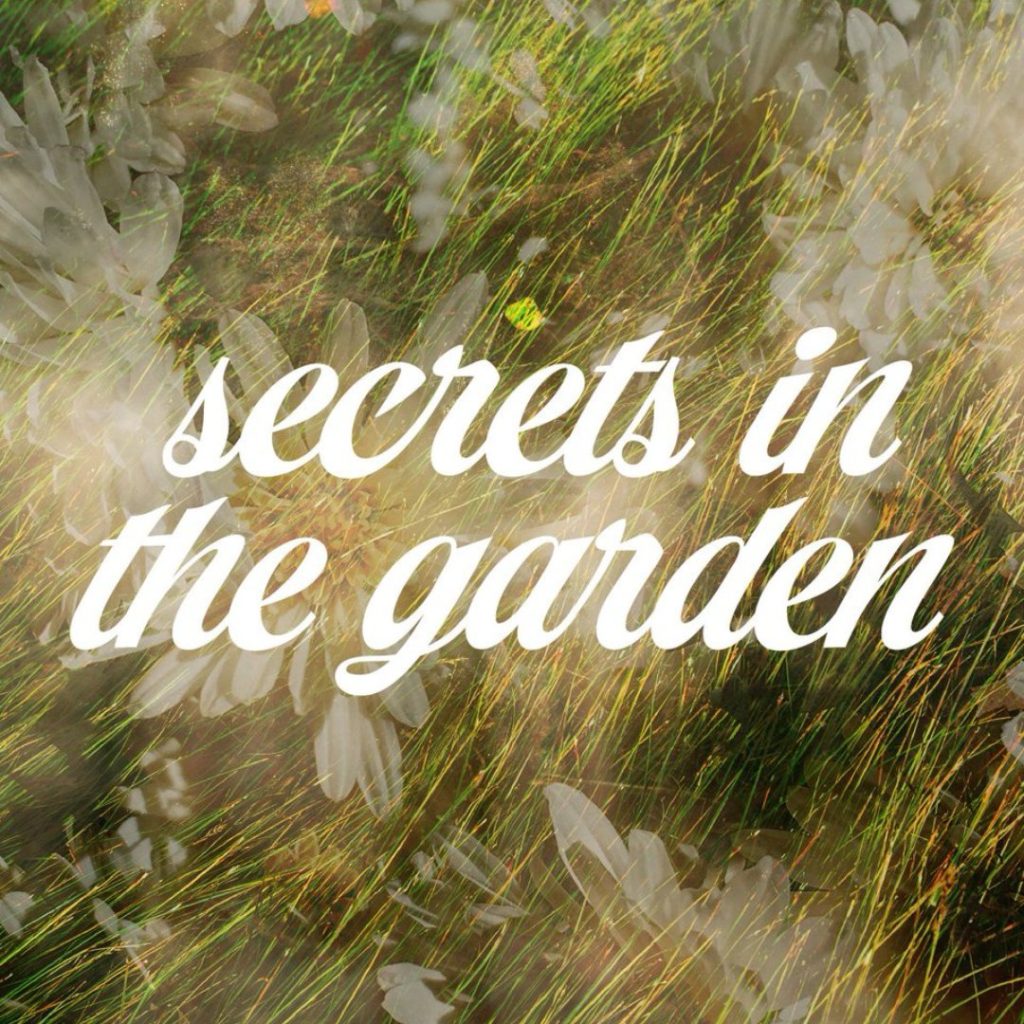 garden image with grass and flowers in browns and greens with secrets in the garden anthology text 
