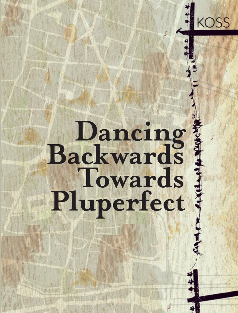 cover aerial view of book dancing backwards towards pluperfect by koss with brown tones and black wire and telephone pole with birds