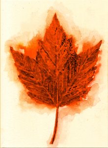 artwork watercolor digital red maple leaf