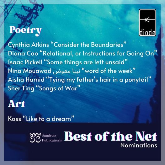 blue promotion for diode with best of the net 2025 nominations