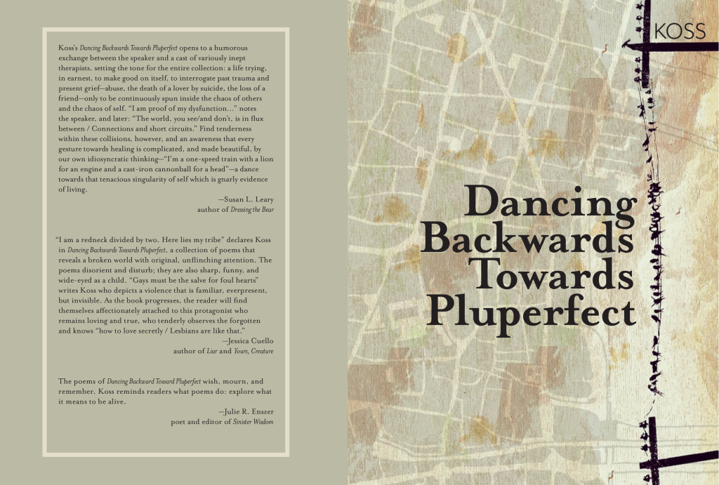 Front and back covers of Dancing Backwards Towards Pluperfect with aerial view, earthtones, and black birds on telephone wire on right arranged vertically