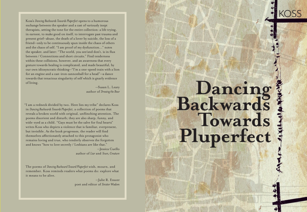 Dancing Backwards Towards Pluperfect front and back cover jacket with earthtones, aerial view, black birds on telephones arranged sideways on right side and back book blurbs on left.