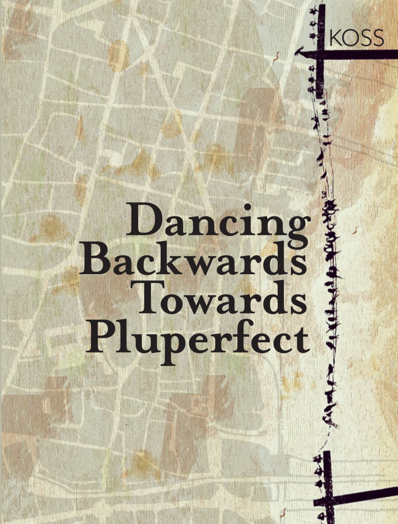 dancing backwards towards pluperfect book cover with earthtone aerial view and black birds on black telephone vertically oriented on right side