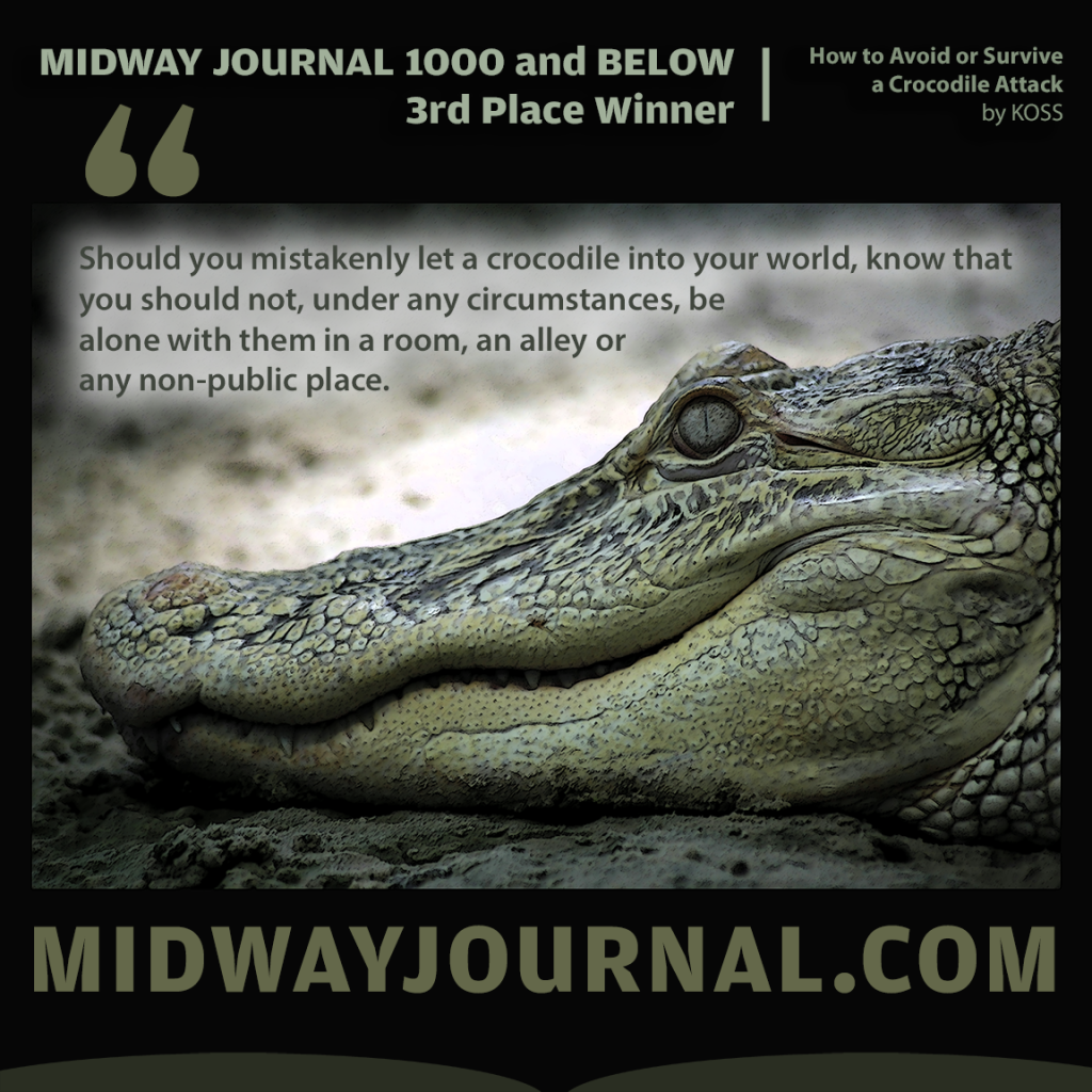 crocodile in muted greens and blacks with promotional text for a literary contest in olive green